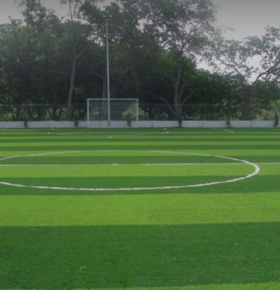 THI CÔNG VÀ THIẾT KẾ SÂN CỎ NHÂN TẠO  